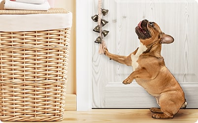 This dog bell for door training includes a clasp on the end