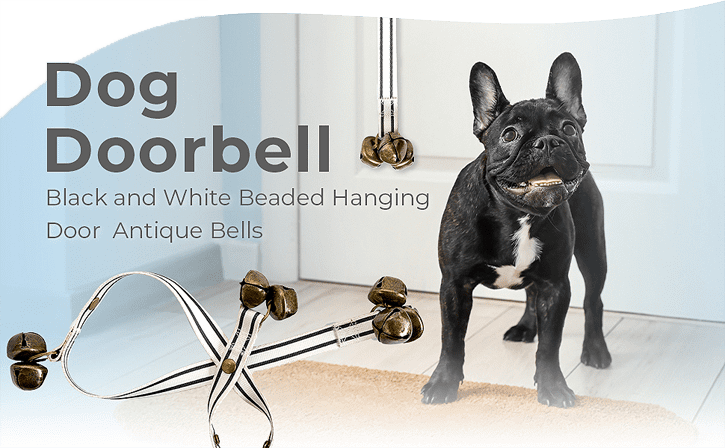 Add a dog bell to your potty training